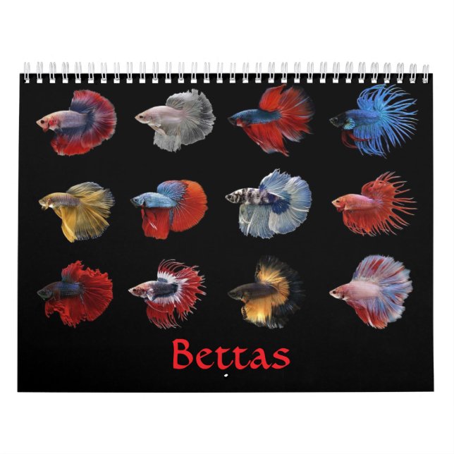 Calendario de peces Betta (Tapa)