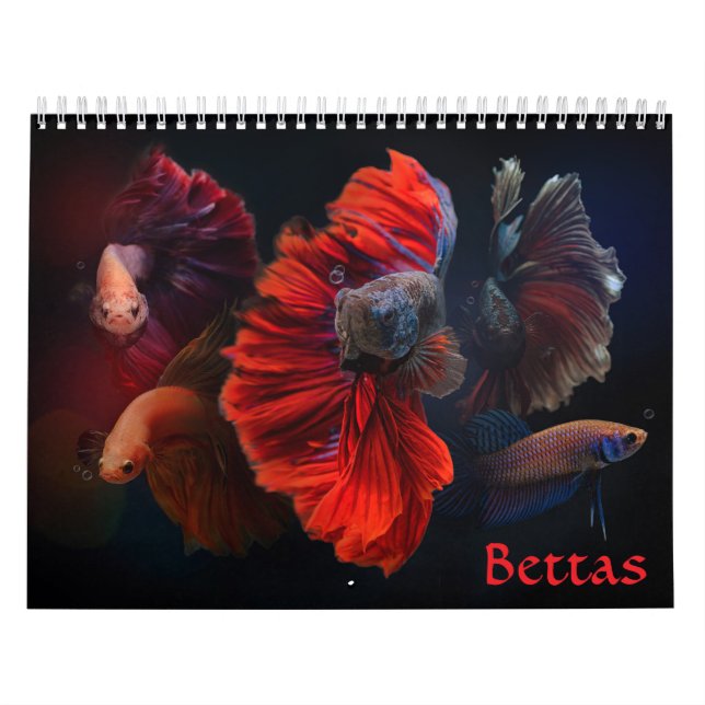 Calendario de peces Betta (Tapa)