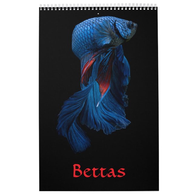 Calendario de peces Betta (Tapa)
