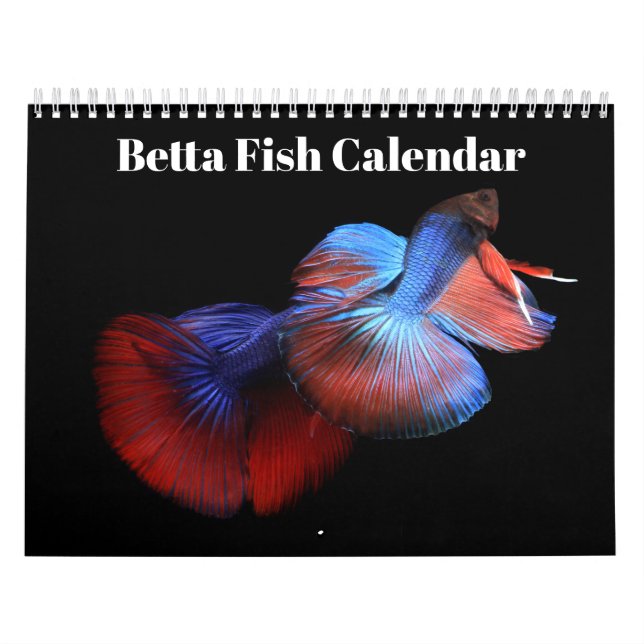 Calendario de peces Betta 2027 (Tapa)