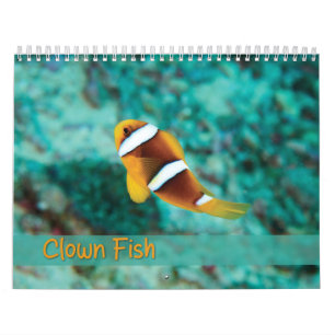 Calendario de peces de payaso - Pescado anemónico