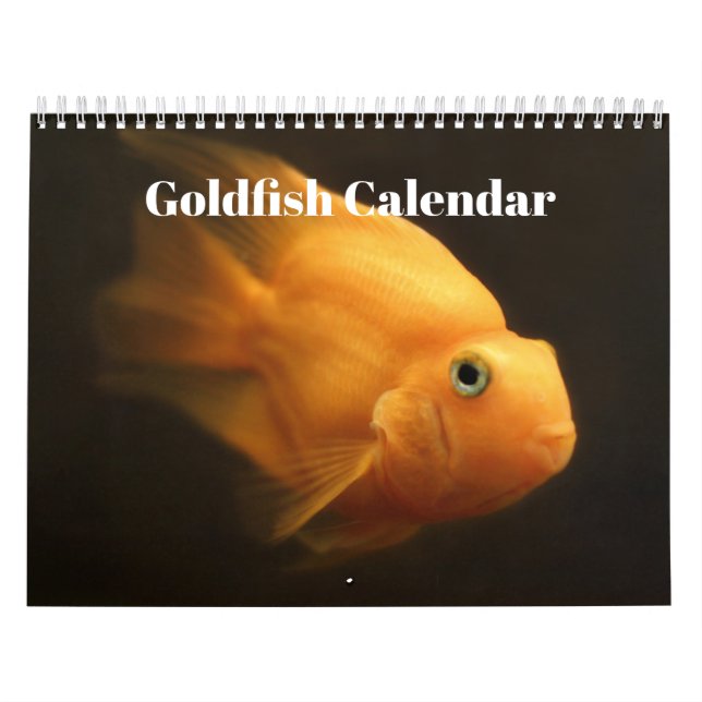 Calendario de peces dorados 2025 (Tapa)
