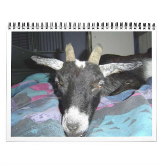 Calendario de Pedro 2009