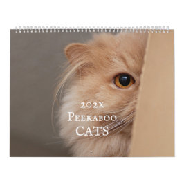 Calendario de Peekaboo Cat