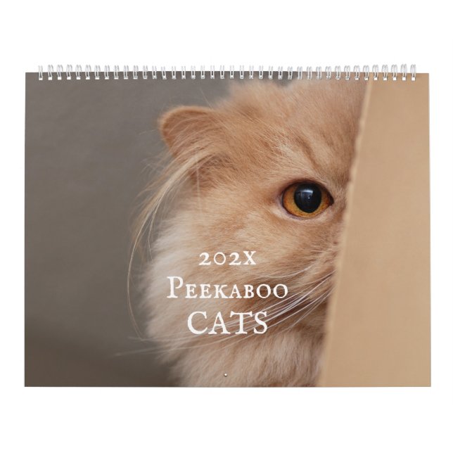 Calendario de Peekaboo Cat (Tapa)