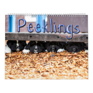 Calendario de Peeklings de Notta Bear