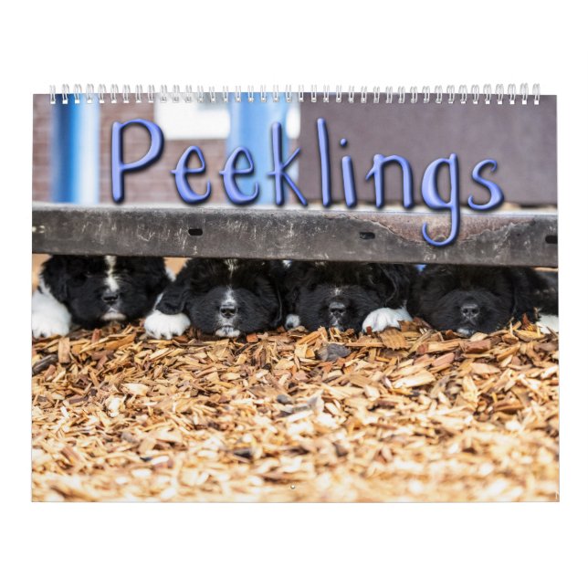 Calendario de Peeklings de Notta Bear (Tapa)
