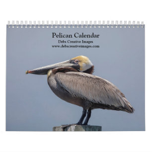Calendario de Pelícanos de Florida 2026