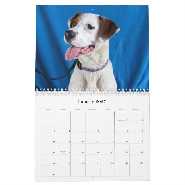Calendario De peligro a las manos seguras (Jan 2027)