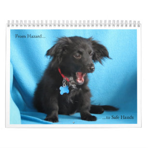 Calendario De peligro a las manos seguras