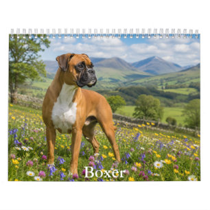 Calendario de Perro Boxer