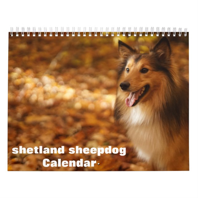 Calendario de perro pastelero de Shetland 2025 (Tapa)
