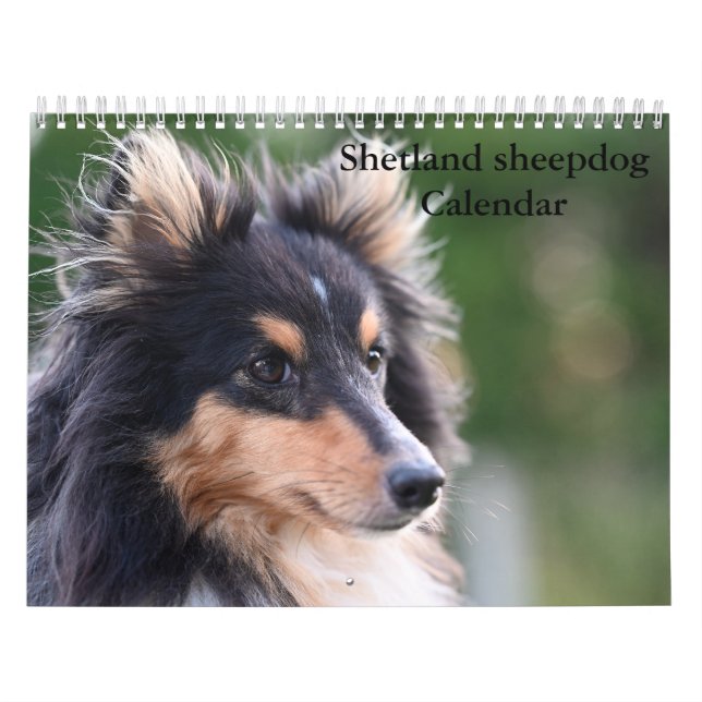 Calendario de perro pastelero de Shetland 2025 (Tapa)