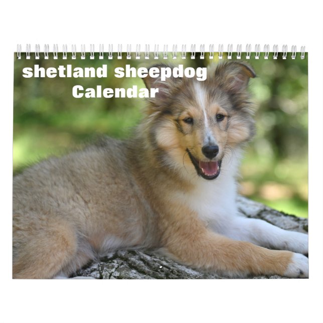 Calendario de perro pastelero de Shetland 2025 (Tapa)