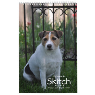 Calendario de Perro Terrier Parson Jack Russell de