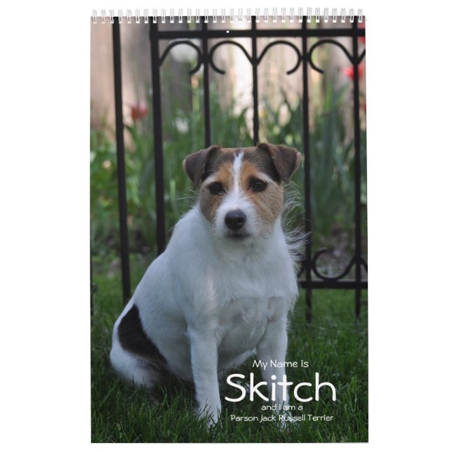 Calendario de Perro Terrier Parson Jack Russell de (Tapa)