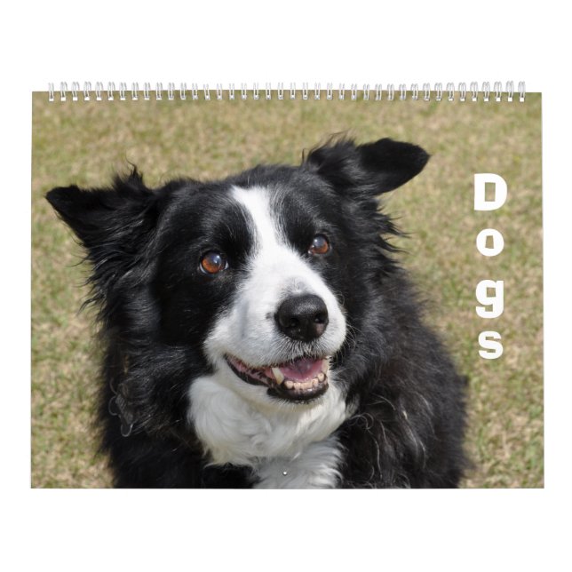 Calendario de perros (Tapa)