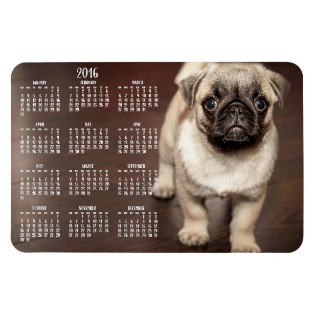 Calendario de perros 2016 Foto Gran imán 4x6 (Horizontal)