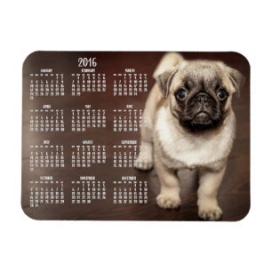 Calendario de perros 2016 Foto Pequeño imán 3x4