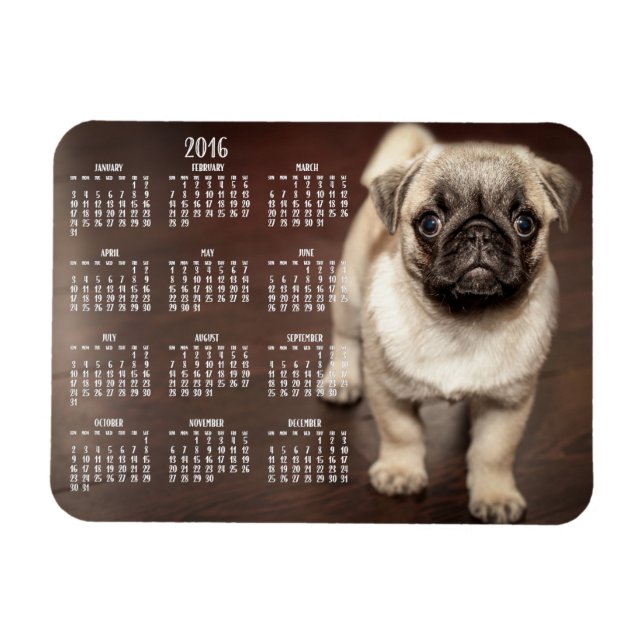 Calendario de perros 2016 Foto Pequeño imán 3x4 (Horizontal)