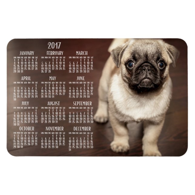 Calendario de perros 2017 Foto Gran imán 4x6 (Horizontal)
