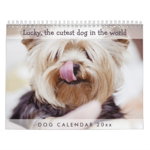 Calendario de perros 2026 Añadir tus fotos bonitas