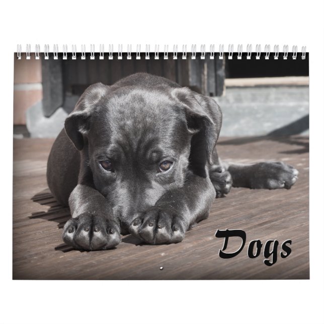 Calendario de perros adorables (Tapa)