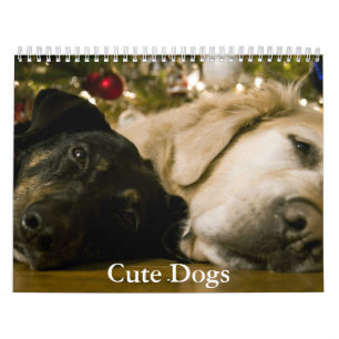 Calendario de Perros Adorables