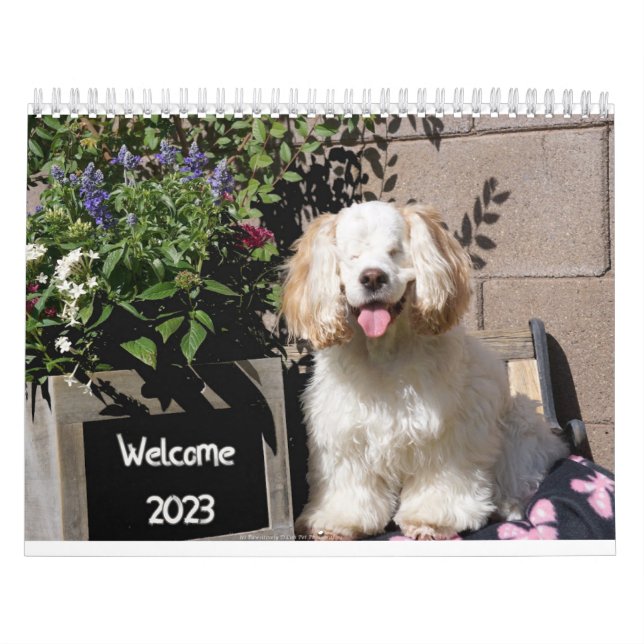 Calendario de perros adorables y adorables 2023 (Tapa)