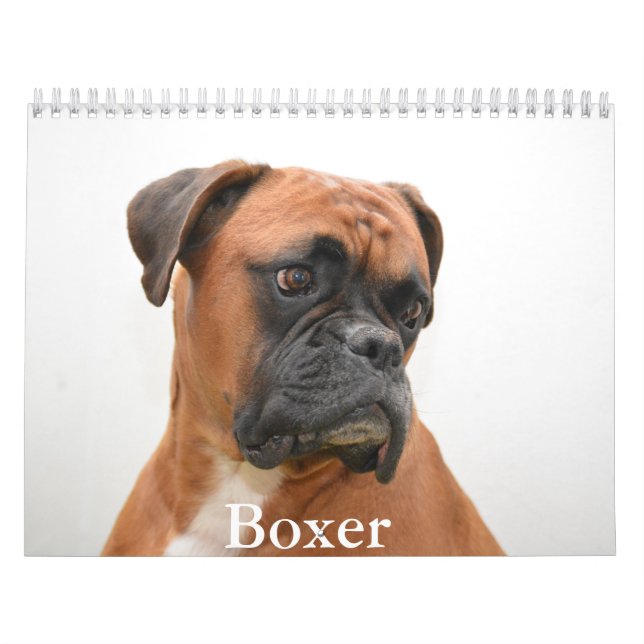Calendario de perros Boxer (Tapa)