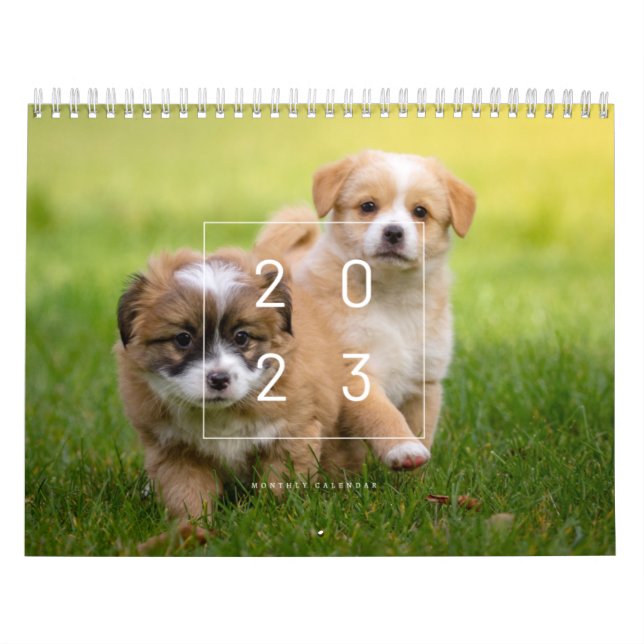 Calendario de perros callejeros 2023 (Tapa)