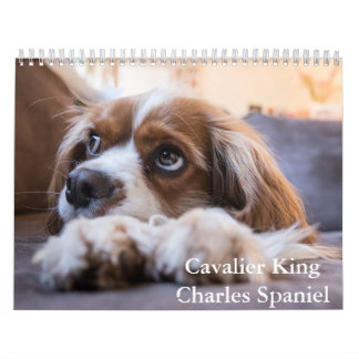 Calendario de perros Cavalier King Charles Spaniel