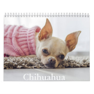Calendario de perros de Chihuahua