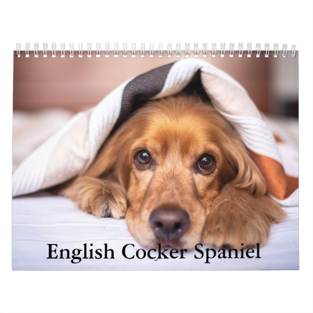 Calendario de perros de Cocker español en inglés (Tapa)