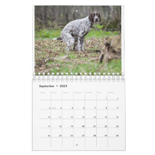 Calendario De Perros De Pooping 2023
