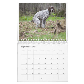 Calendario De Perros De Pooping 2023