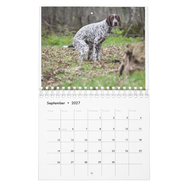 Calendario De Perros De Pooping 2023 (Sep 2027)