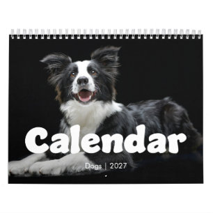 Calendario de perros de tipografía moderna de 12 m