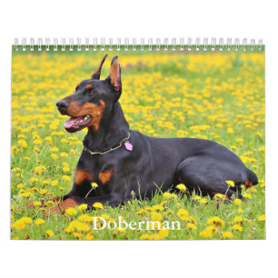 Calendario de perros Doberman