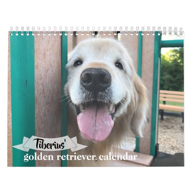 Calendario de perros dorados Tiberius 2021 (Tapa)