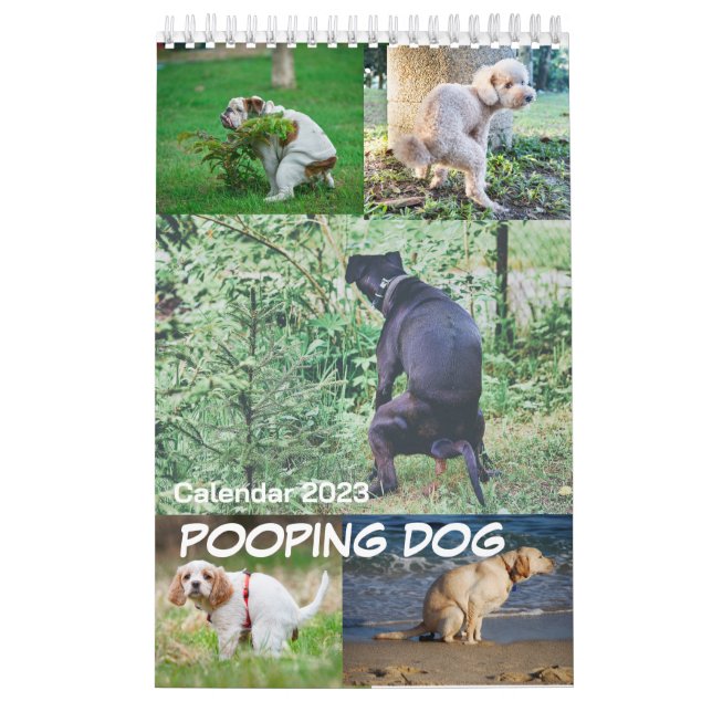 Calendario de perros en el Pooping 2023 (Tapa)