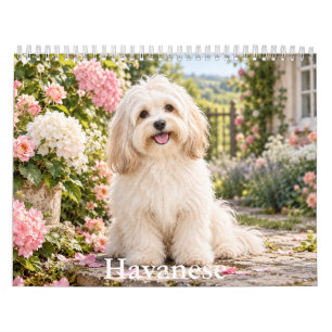 Calendario de Perros Havanés