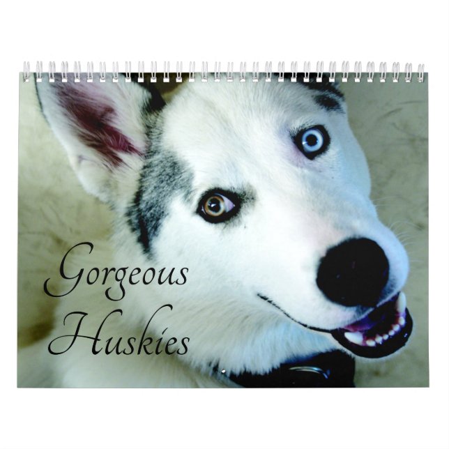 Calendario de perros Husky Siberiano 2026 (Tapa)