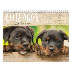 calendario de perros lindos 2023