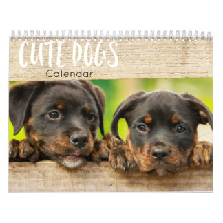 calendario de perros lindos 2023