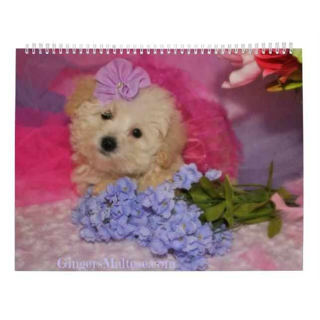 Calendario de perros porteros (Reverso)