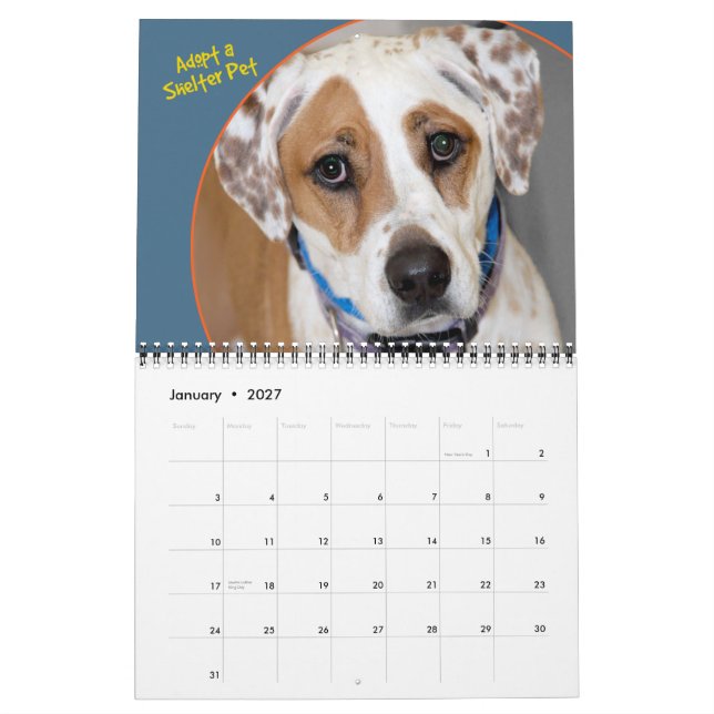Calendario de perros refugio (Jan 2027)
