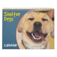 Calendario de perros refugio