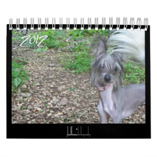 Calendario de perros sin pelo de 2012