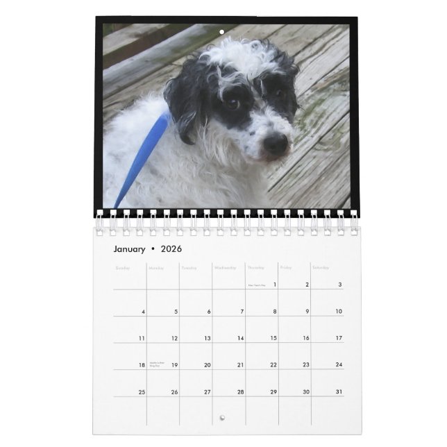 Calendario de perros sin pelo de 2012 (Jan 2026)